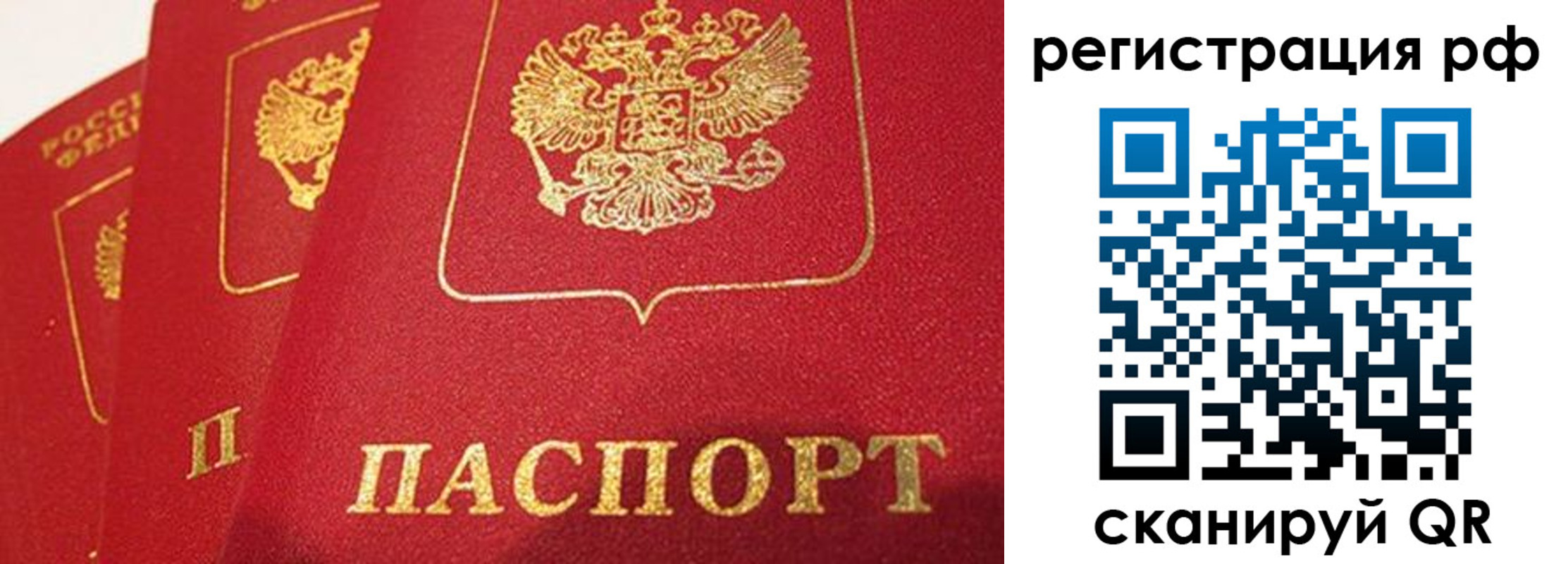прописка поиск в Адыгее